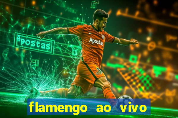 flamengo ao vivo multi canais